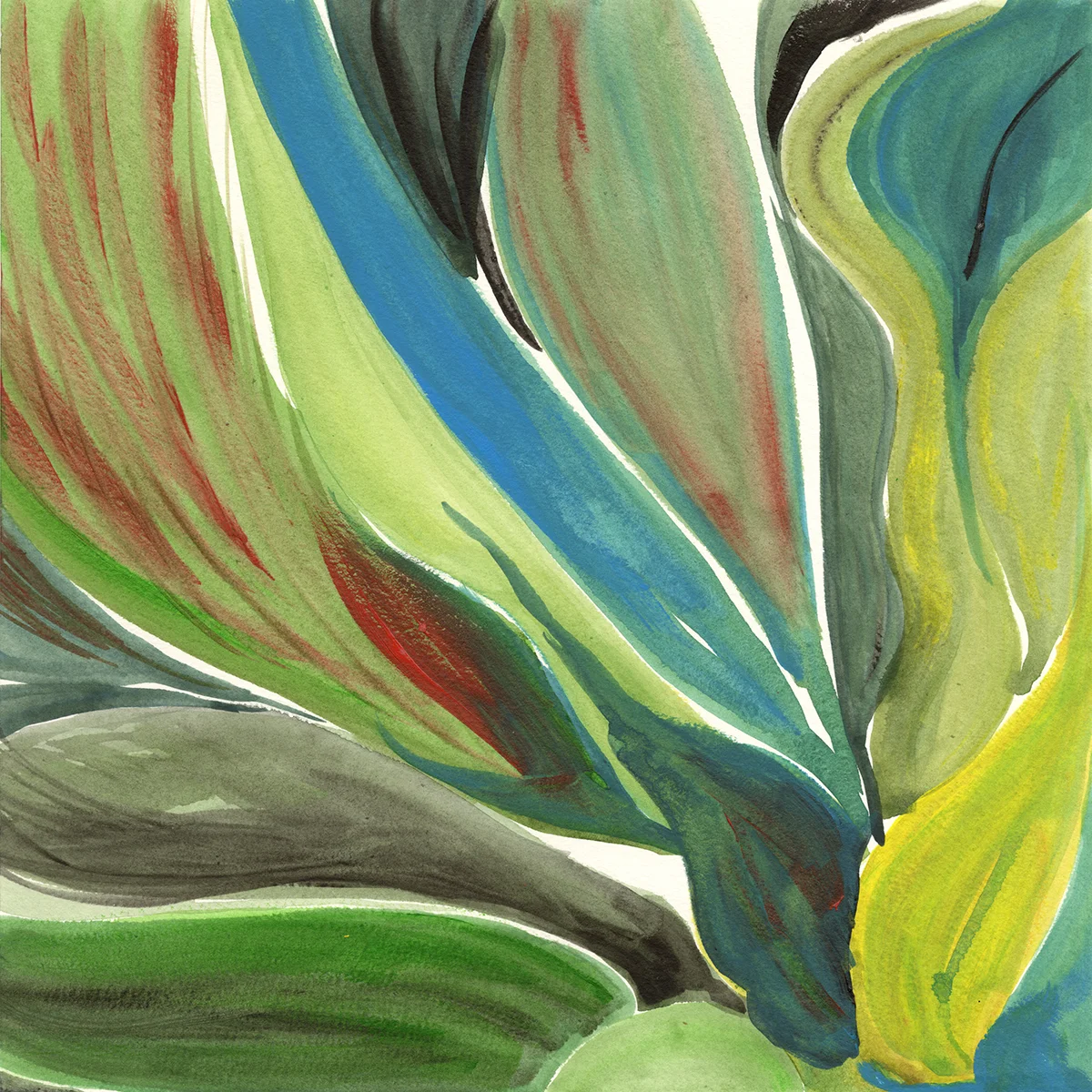 Folage (click to enlarge)