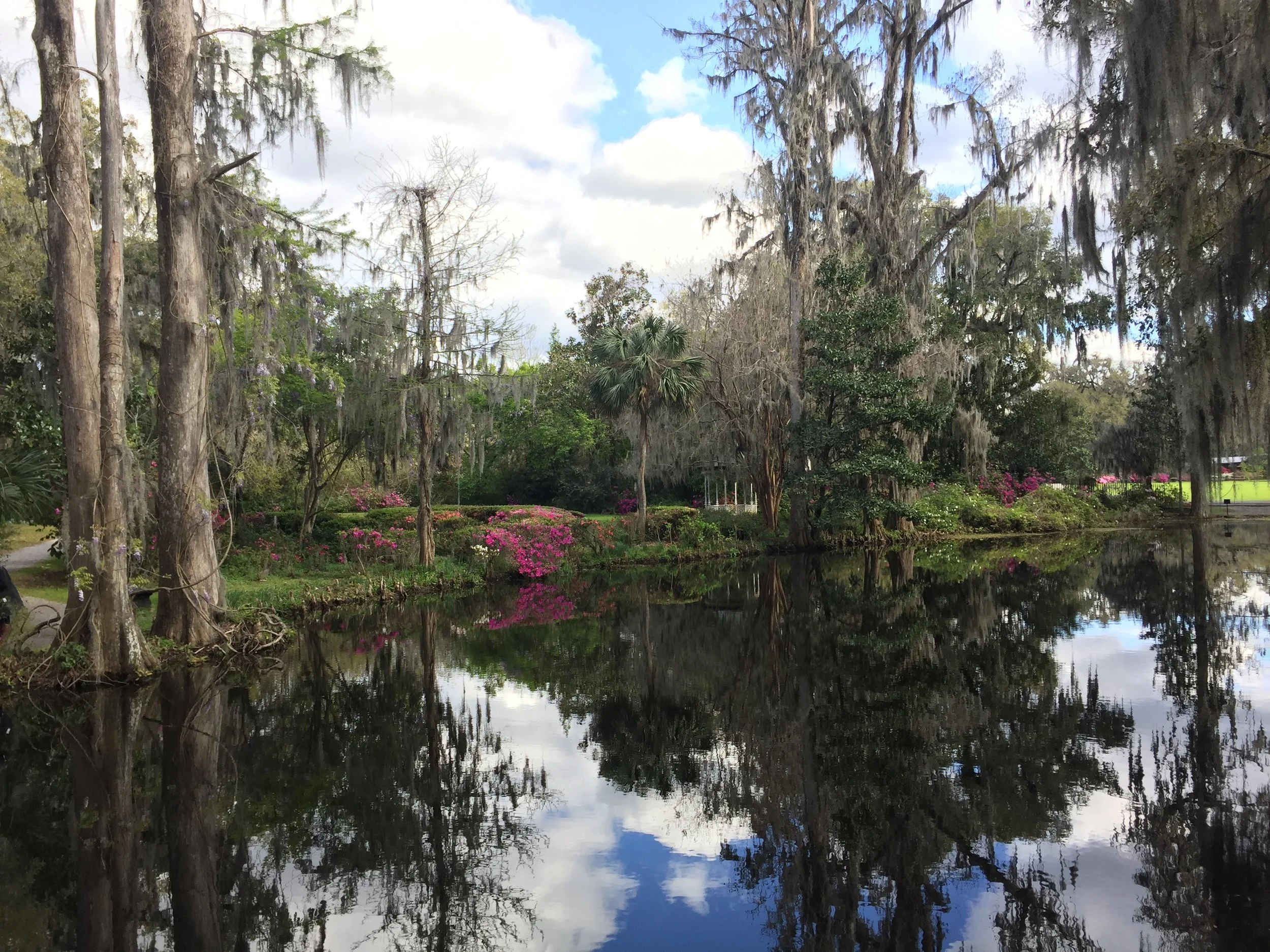 Southern Plantation - Georgia spring