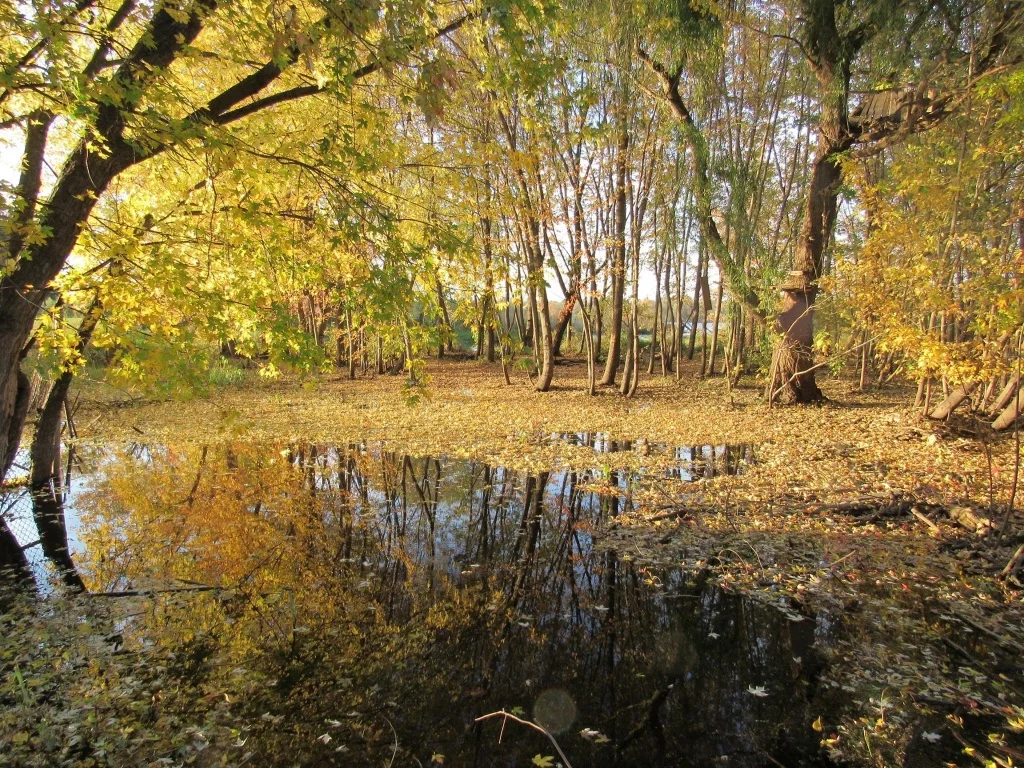 Park surrounding Banfill-Locke Center for the Arts,&nbsp;&nbsp;Minnesota