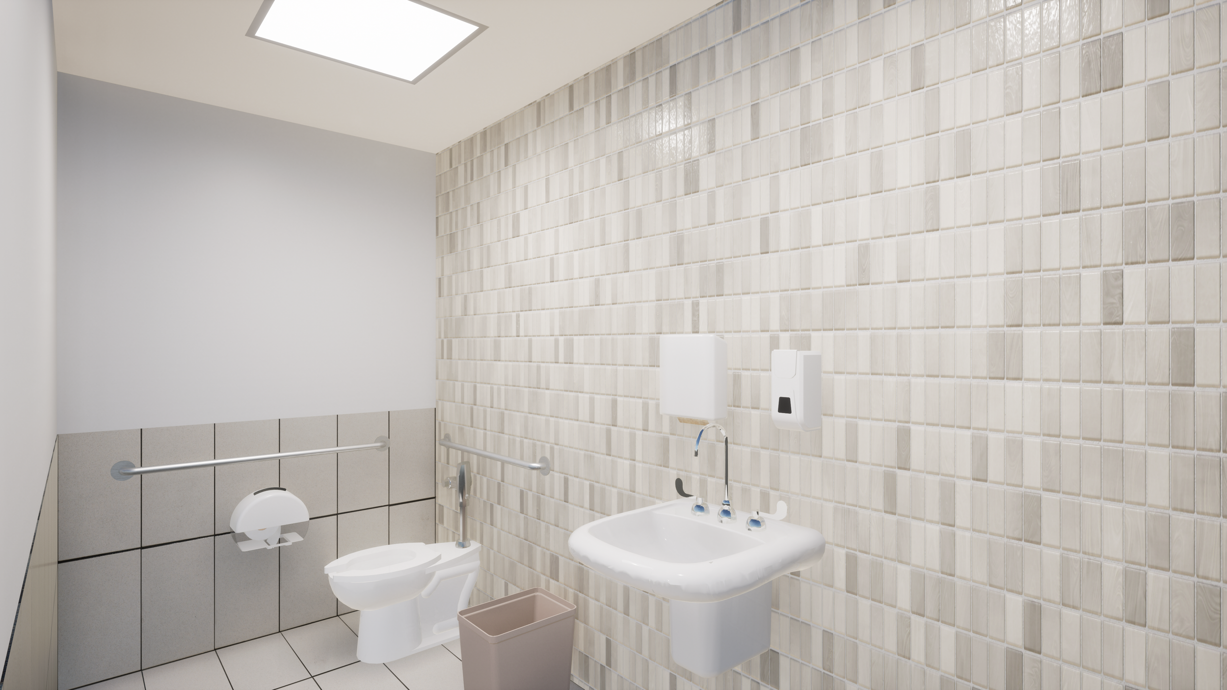 Patient Toilet.png
