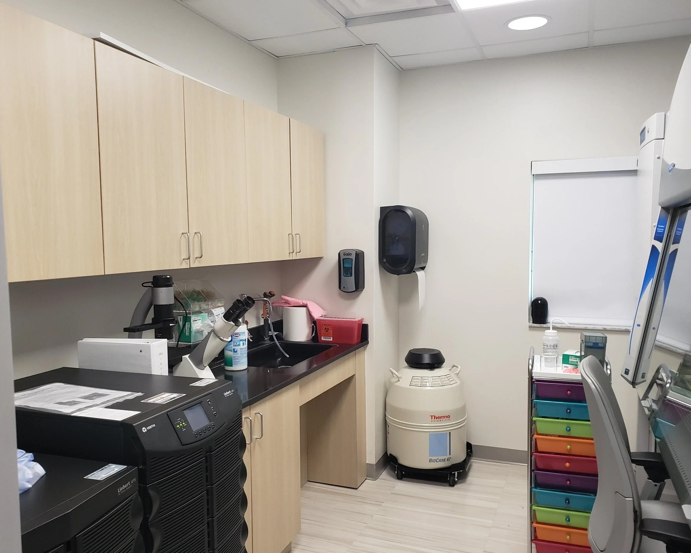 Project area: 771 sf.​