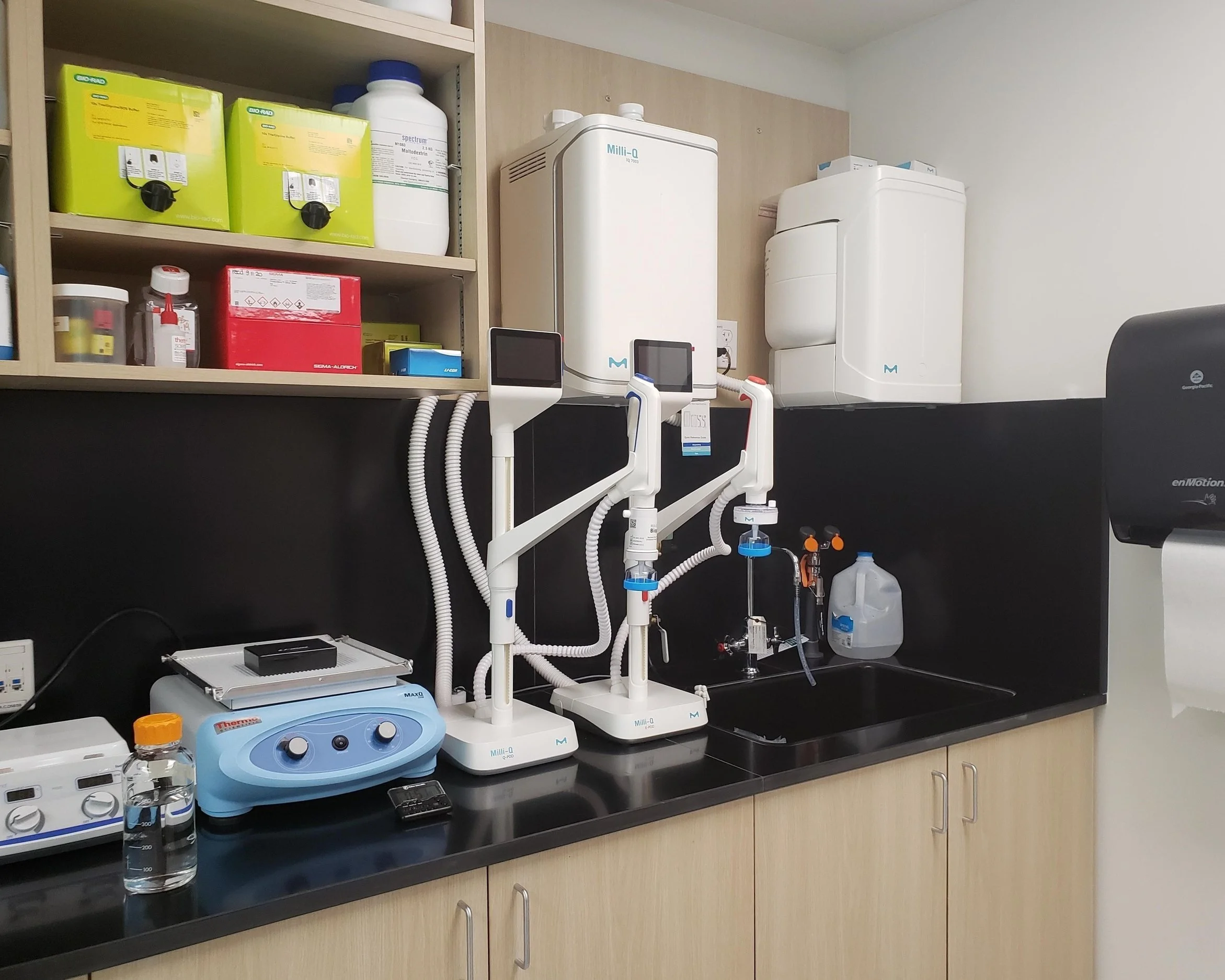 Renovation of the 3rd floor and to support a new level 2 bio-safety lab.​