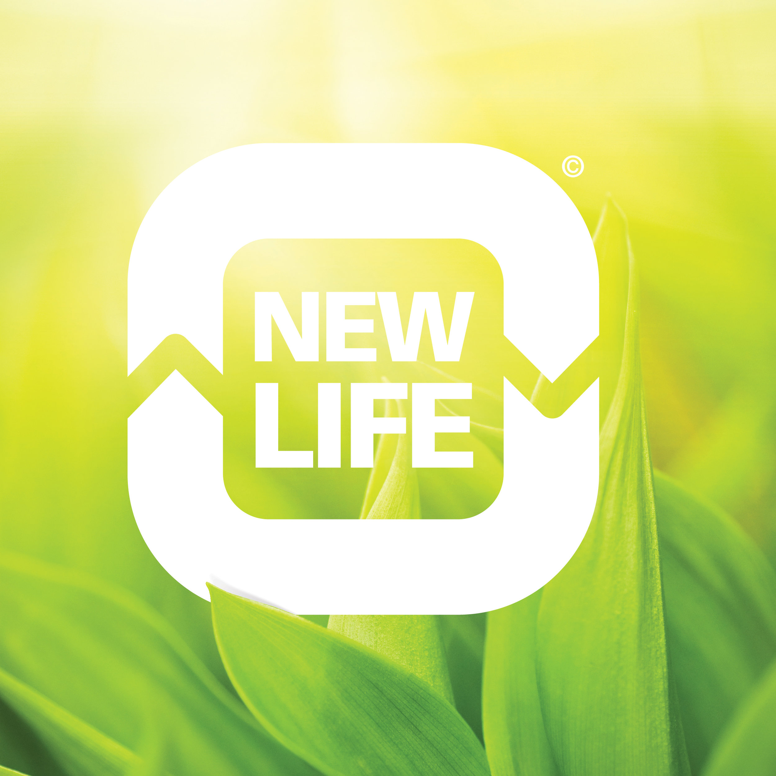 camnet_newlife_logo.jpg