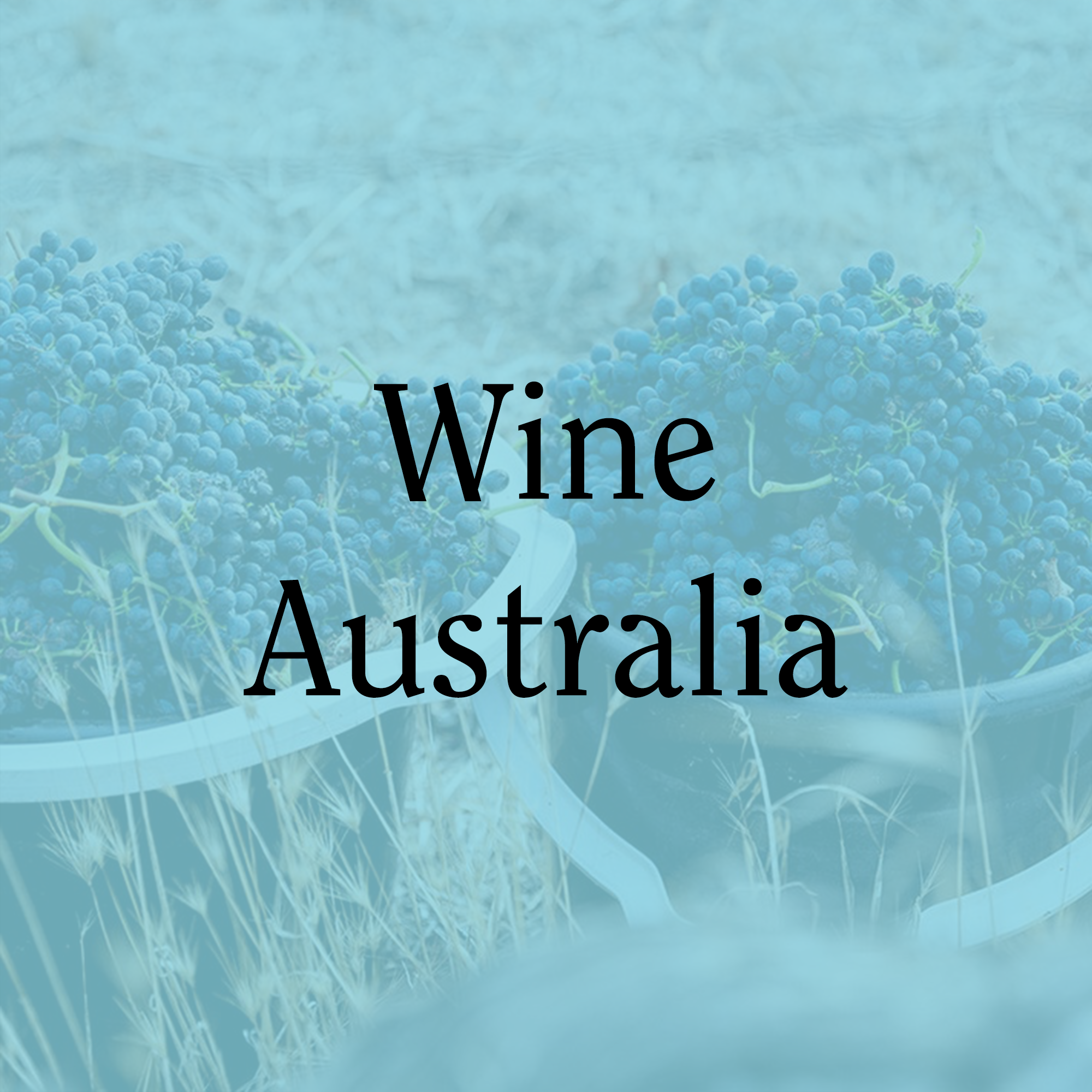 Wine Australia.png