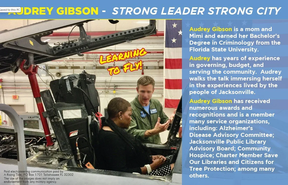 Election Postcard Mailing 1.jpg