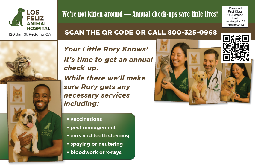 Postcard for Pet Services.png