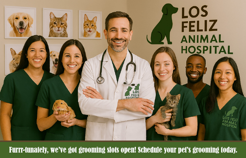 Reminder Appointment Postcards.png