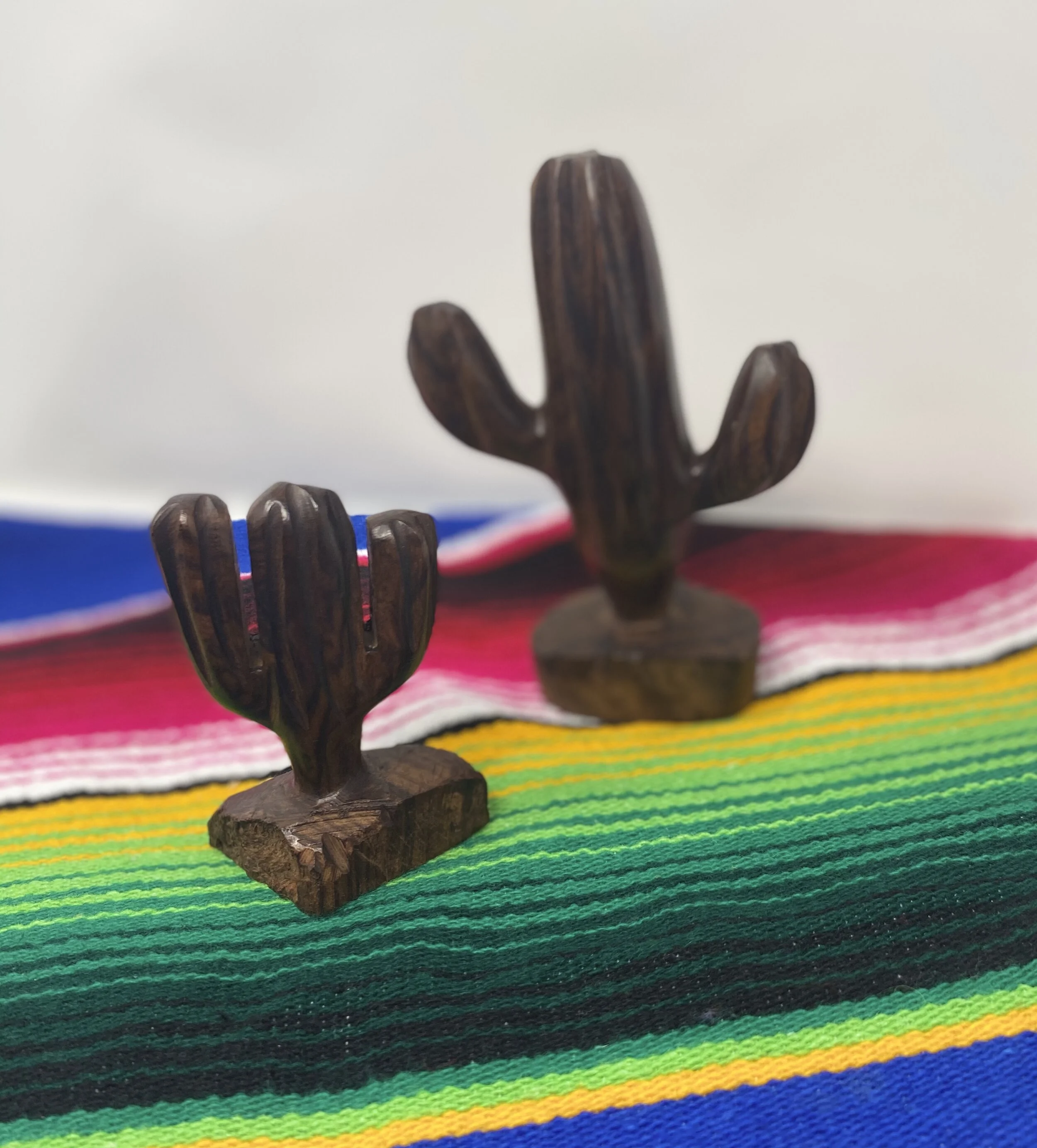 Baby and Mama Hand Carved Cacti