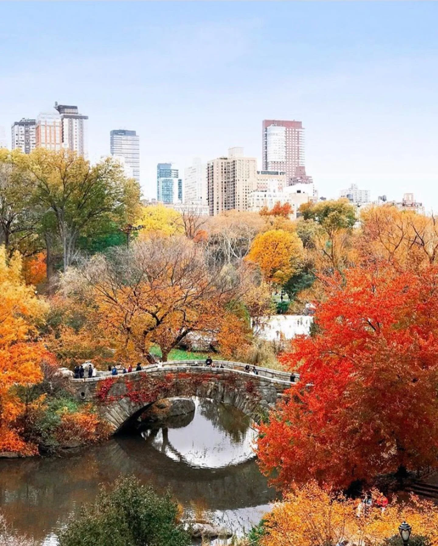 Another amazing 📷 from @ananewyork . This time of Central Park in the fall. Someday I&rsquo;ll make it to you in the fall NY, you are stunning.
&bull;
&bull;
&bull;
#fallaroundtheworld #colors with @shannonmichelleinteriors #fallinnewyork #centralpa