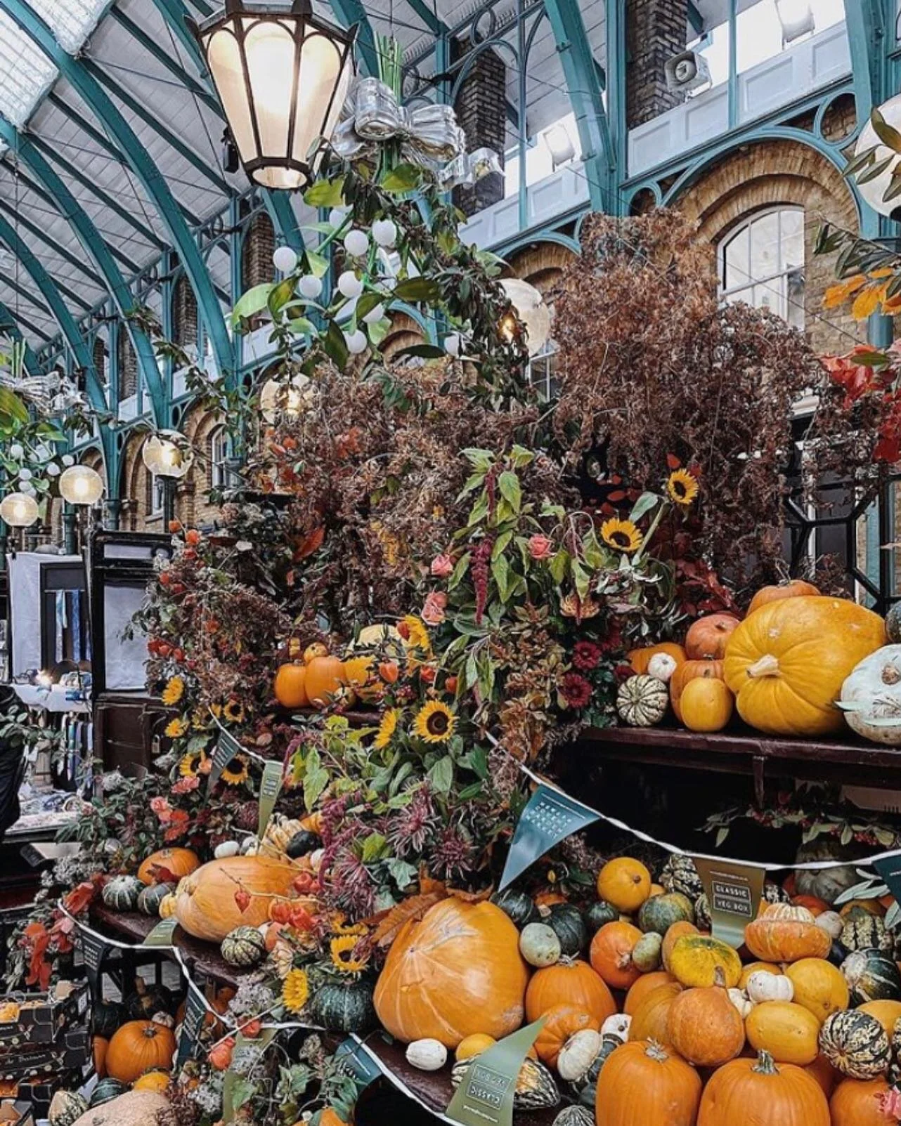 Ok now I&rsquo;m ready for pumpkins! Especially if the display is as beautiful as this one!
&bull;
&bull;
&bull; 
Who else is ready for #pumpkins it&rsquo;s #pumpkintime a #littlebehindthisyear but now I&rsquo;m #fallready🍁🍂 #falldecor #gourdeaous 