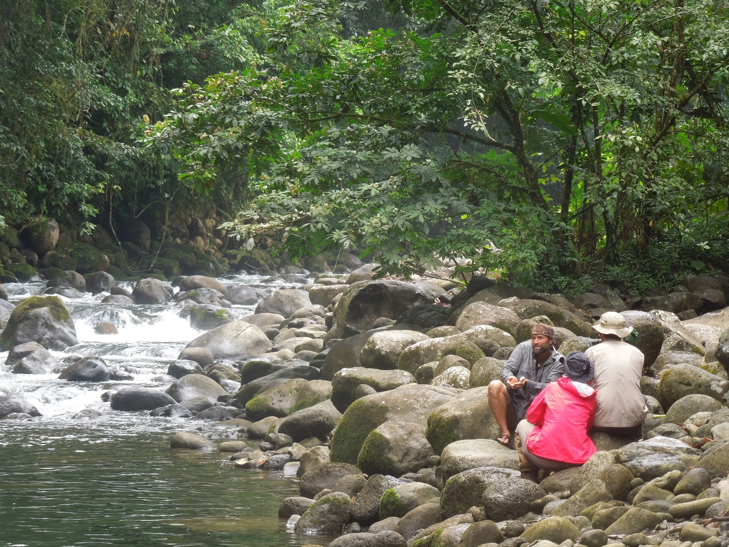 Surviving in the Jungle.