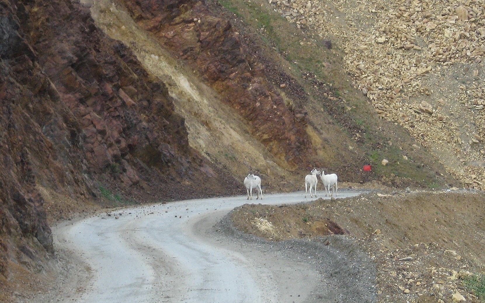 Alaska+%283%29+093+-+cropped2.jpg