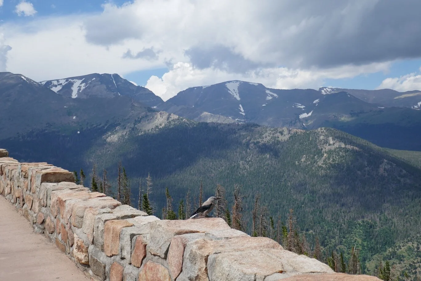 RMNP bird view - reduced.jpg