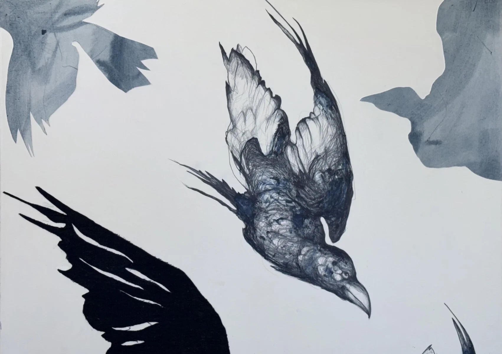 Fitts_Sally_Ravens in Flight 1.jpg