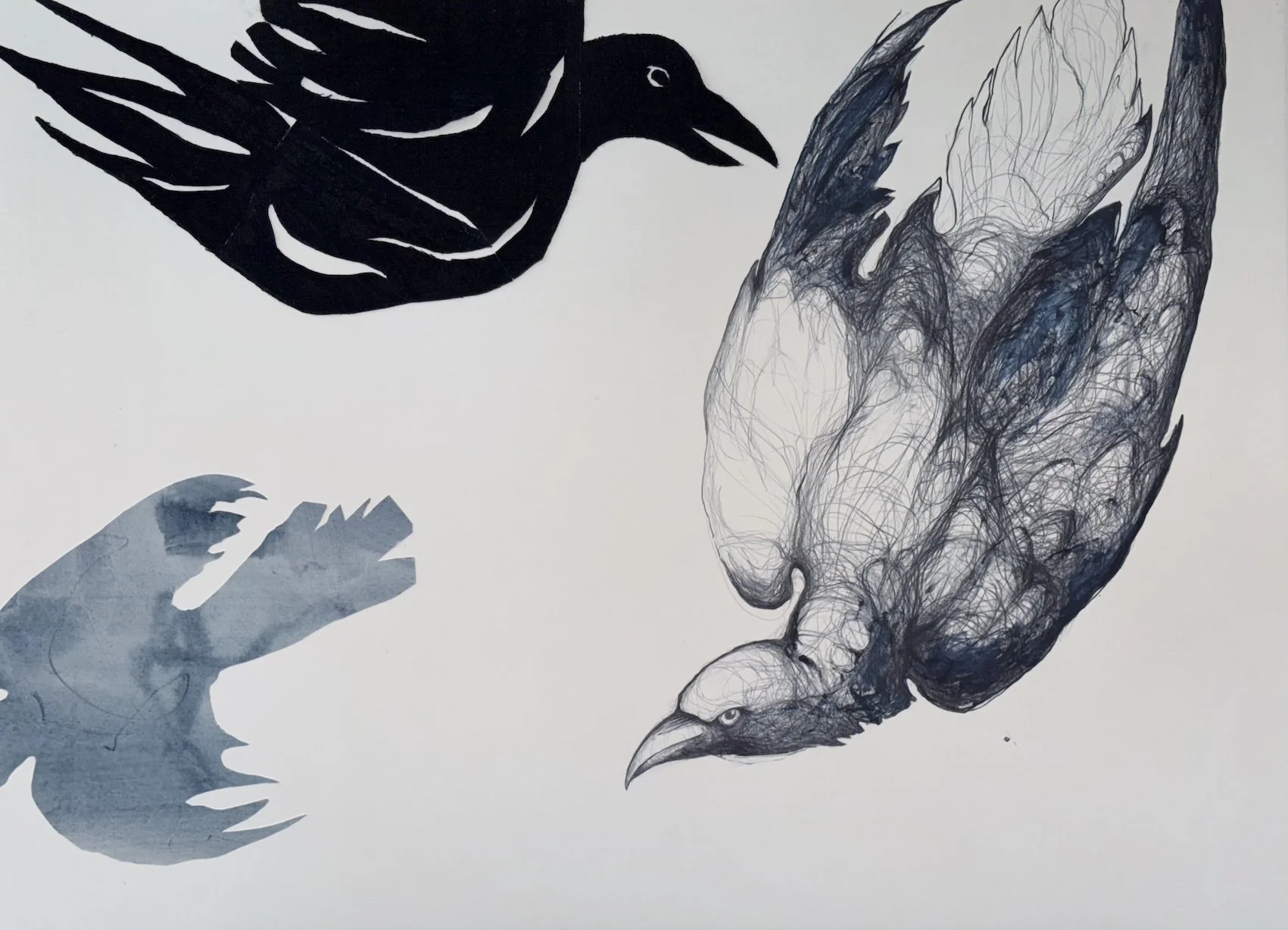Fitts_Sally_Ravens in Flight 2.jpg