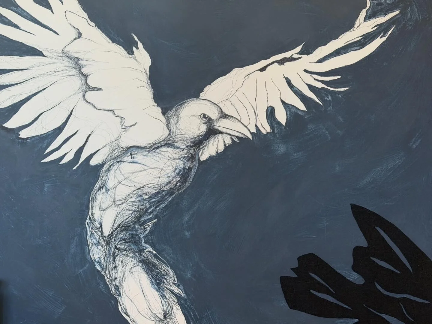 Indigo Raven.JPG