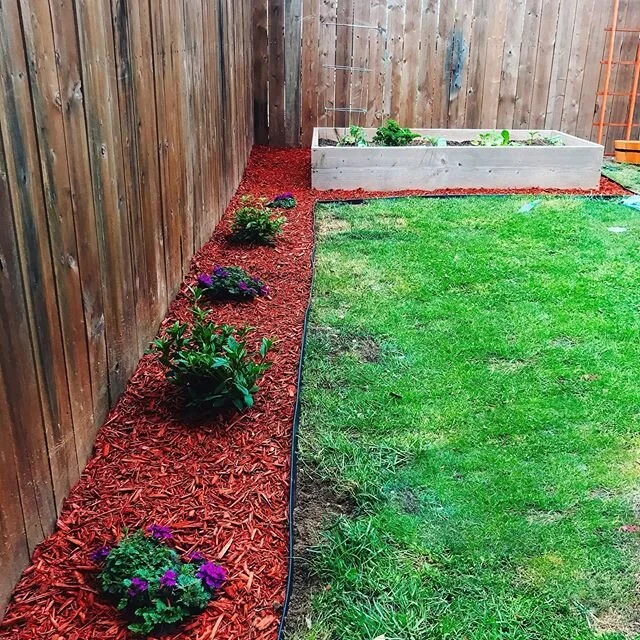 New Moon note.⁣
⁣
And so it begins. New growth. Fresh beginnings. I planted my veggie garden (the raised box in the back) a week ago, and @lin.dougherty and I created the hedged flowerbeds over the weekend. ⁣
⁣
Done with being stuck in our home durin