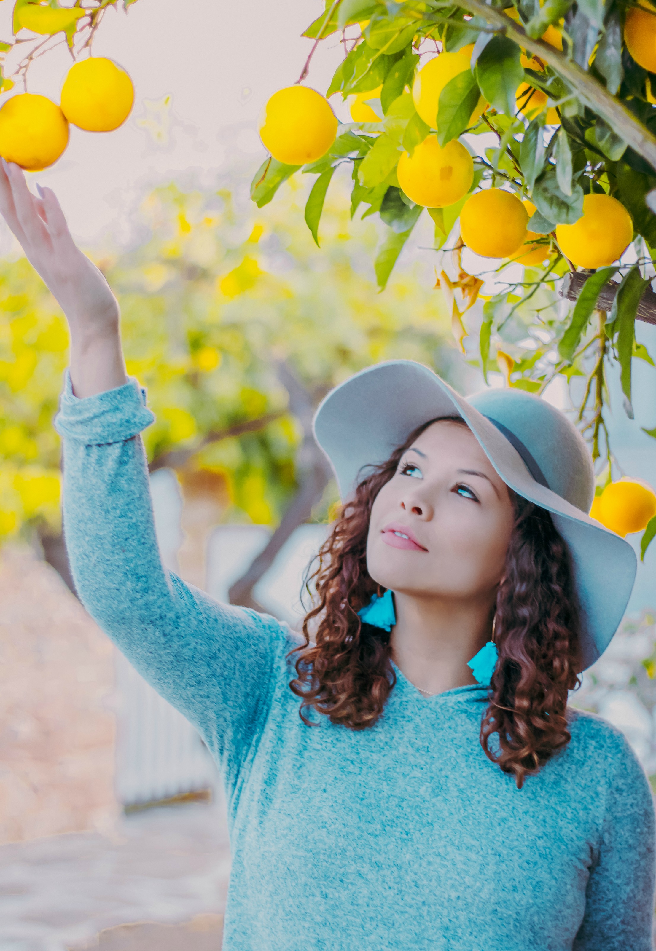 Lemon Trees in Anezina Village, Paros
