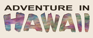 adventure-in-hawaii-logo.png