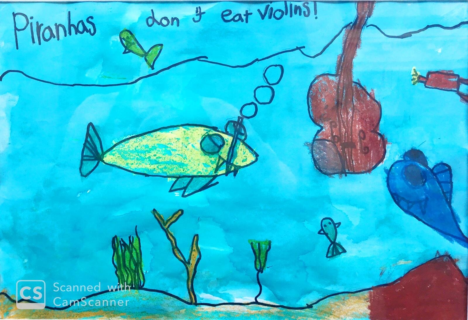PiranhasDontEatViolinsFB.JPG