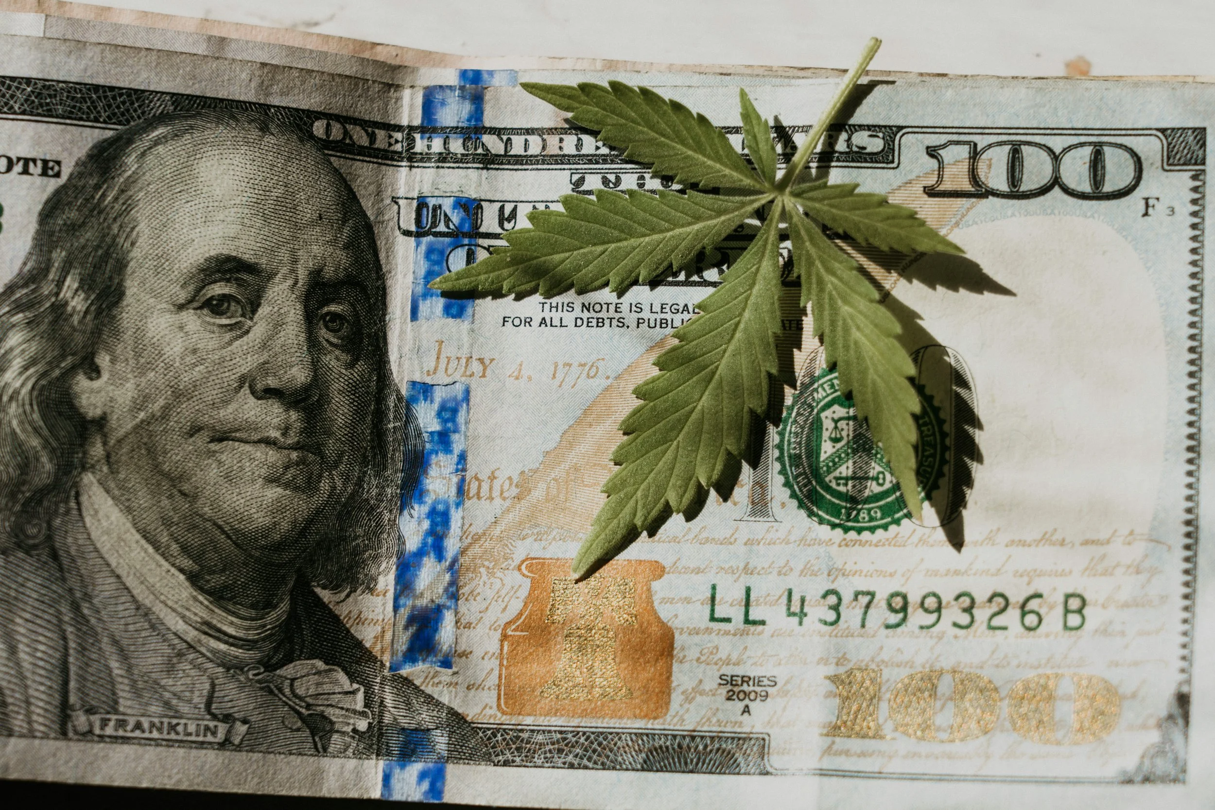 How to Conserve Weed and Save Money
