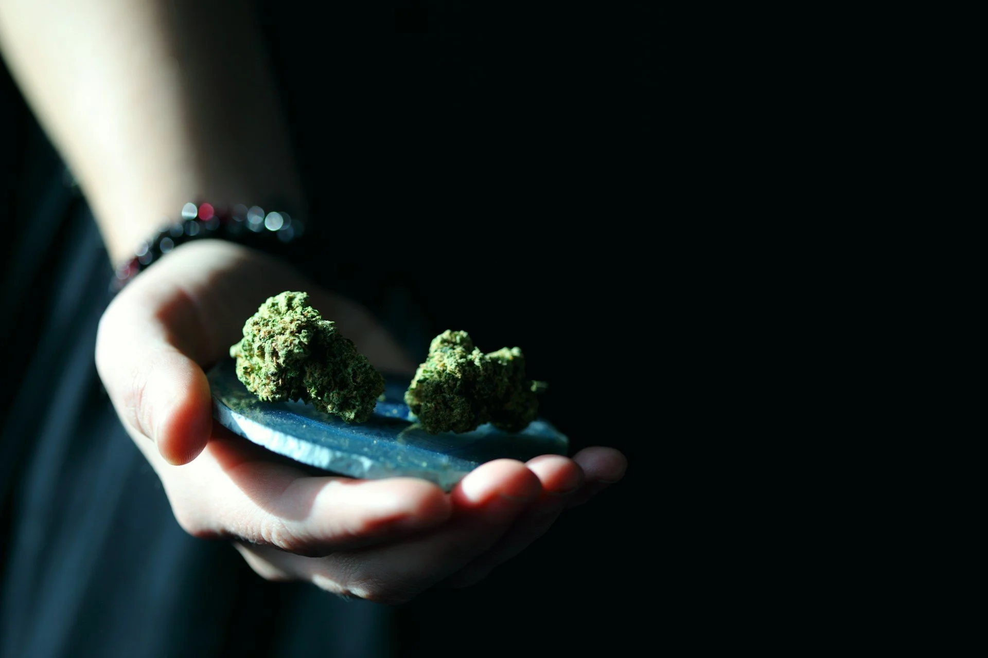 Is It Safe to Smoke Moldy Weed? Here’s Why It’s a Bad Idea