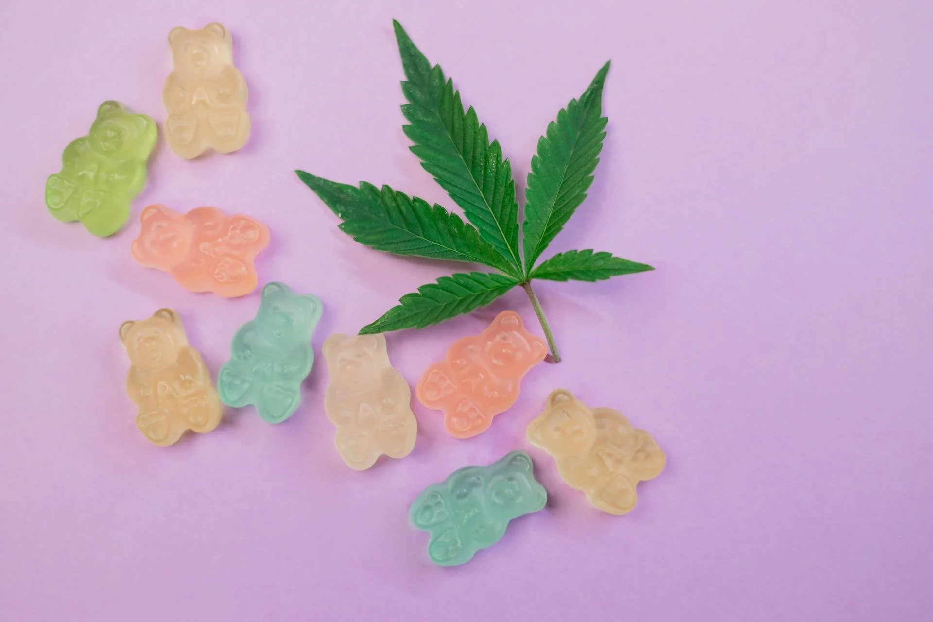 Do Cannabis Edibles Expire? Here’s What You Need to Know