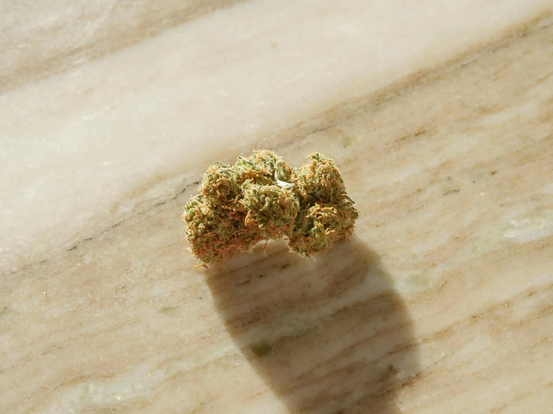 How to Rehydrate Old Cannabis: Easy Tips to Revive Dry Bud