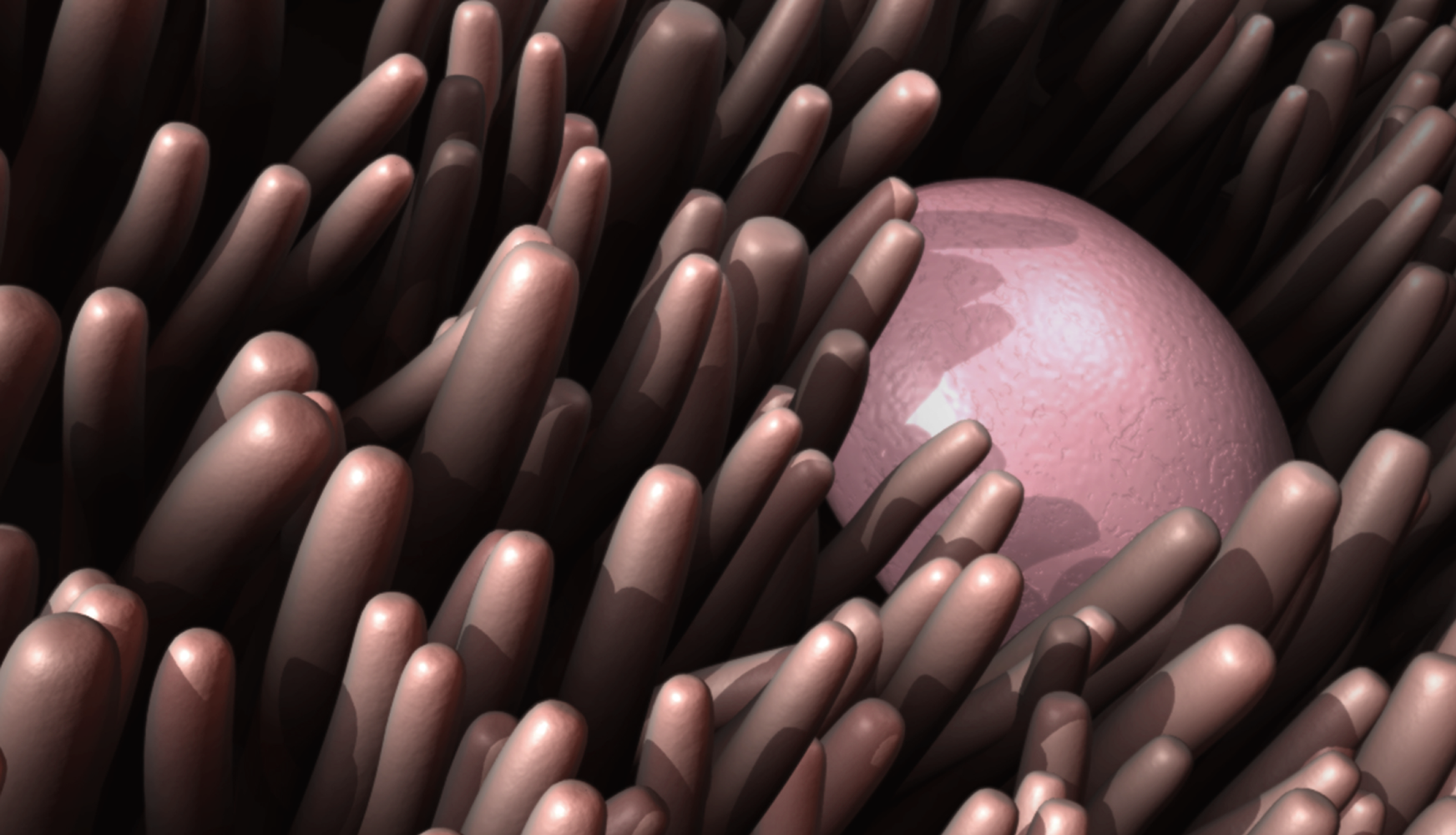 background_2.png