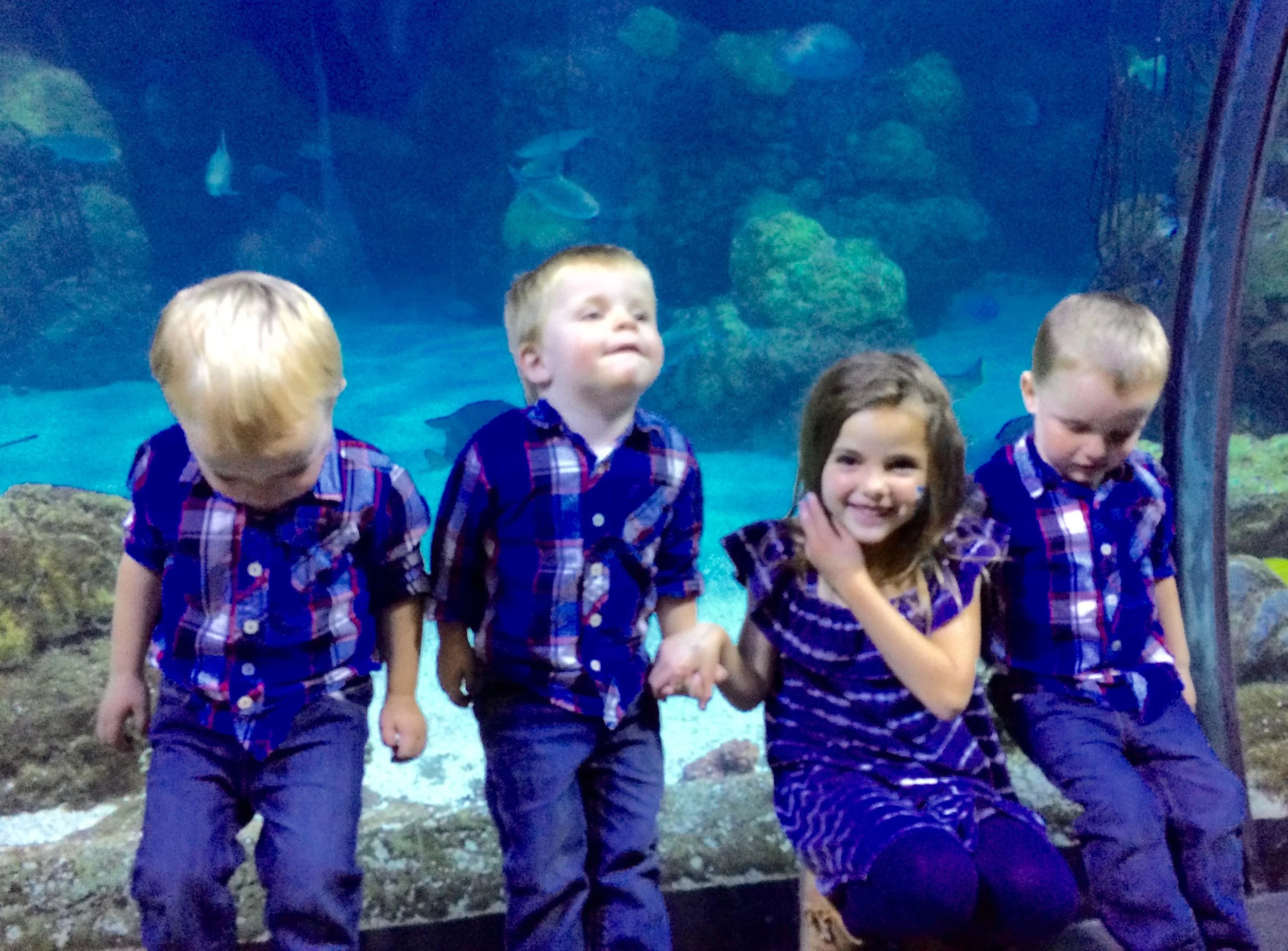 Triplets and Sarah - Aquarium