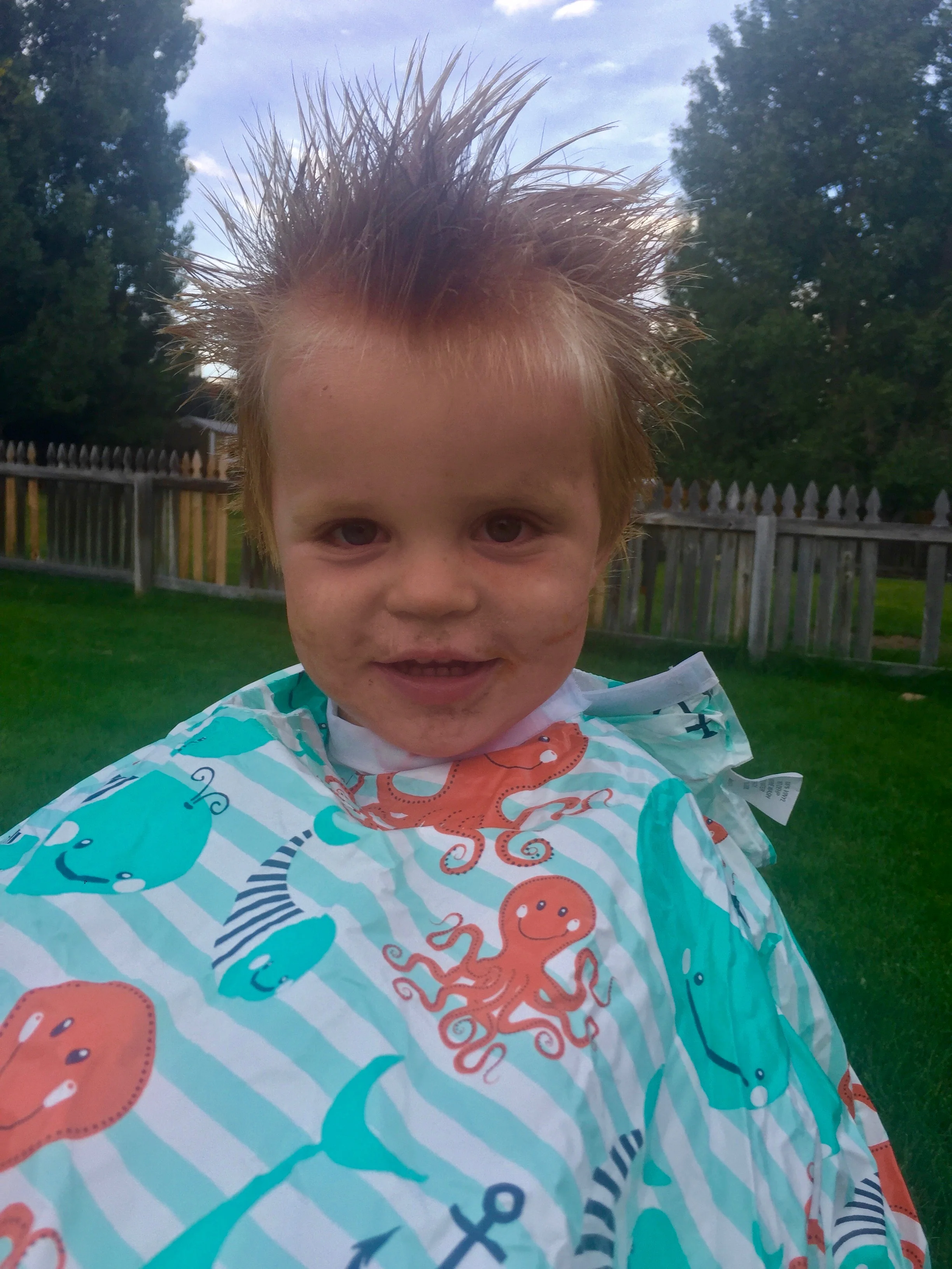 "Do I need a haircut?"  Zeke