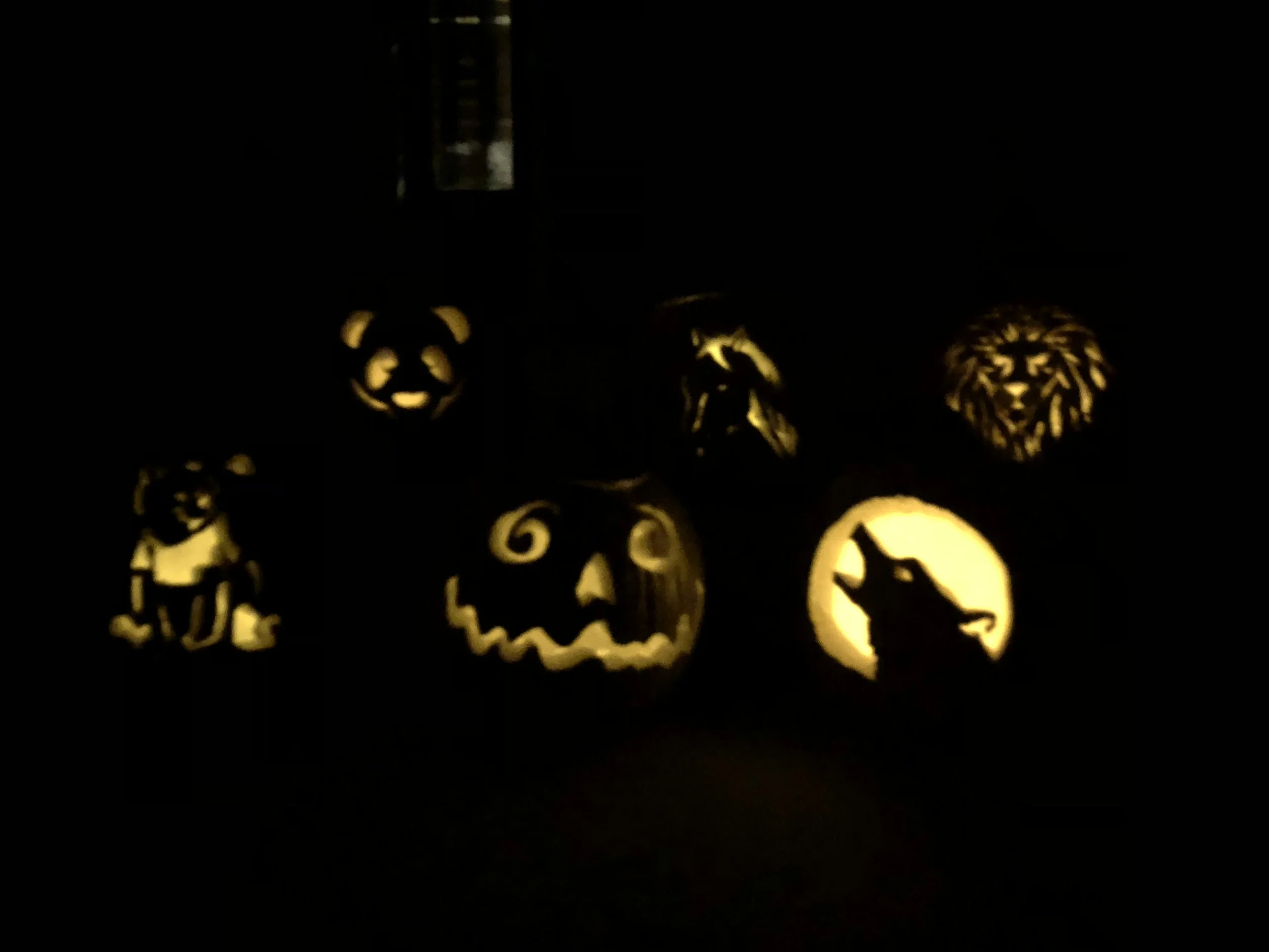 Family's Pumpkins - October 2018
