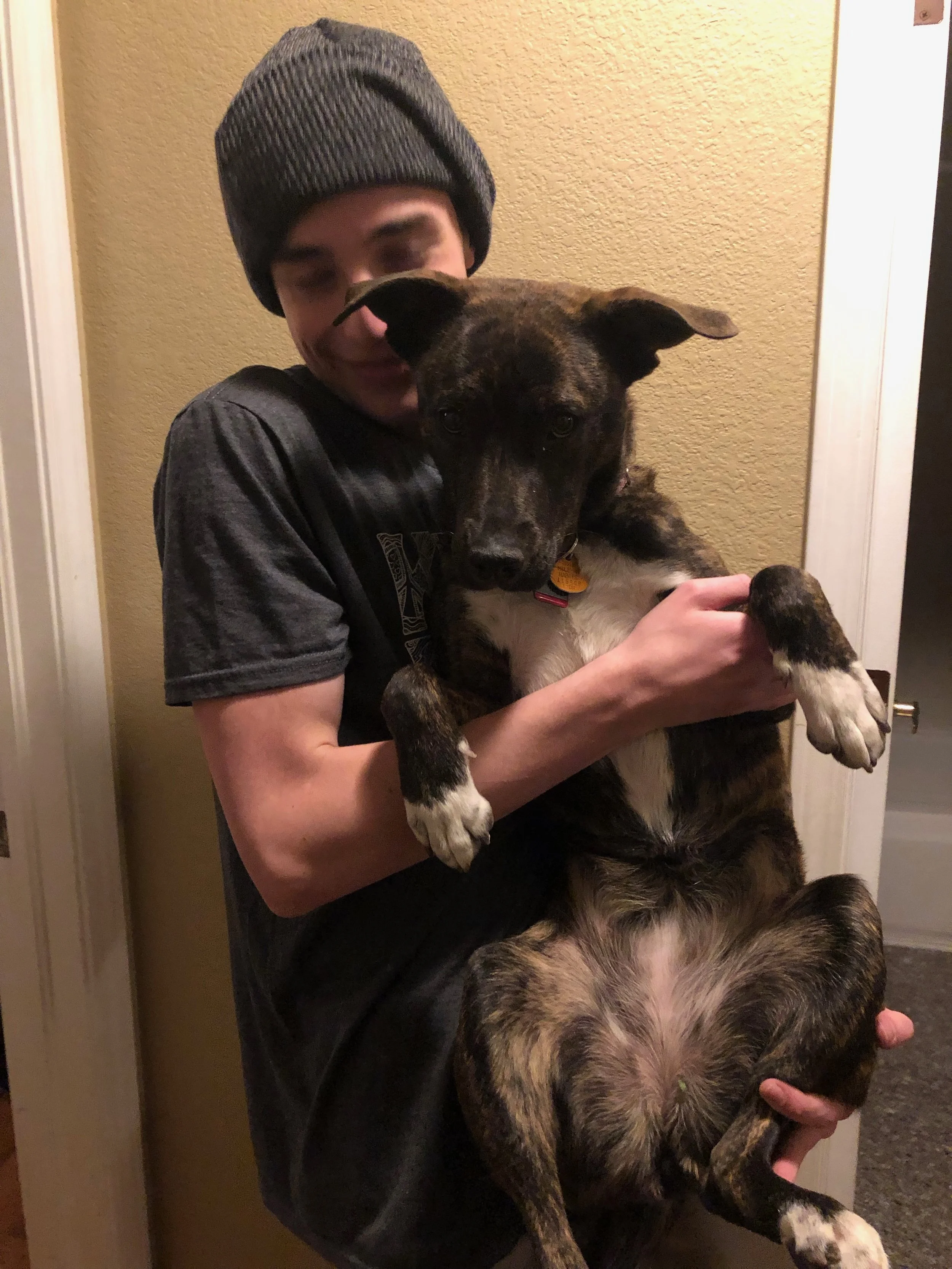 Parker and Nala (8 months) - December 4th, 2018