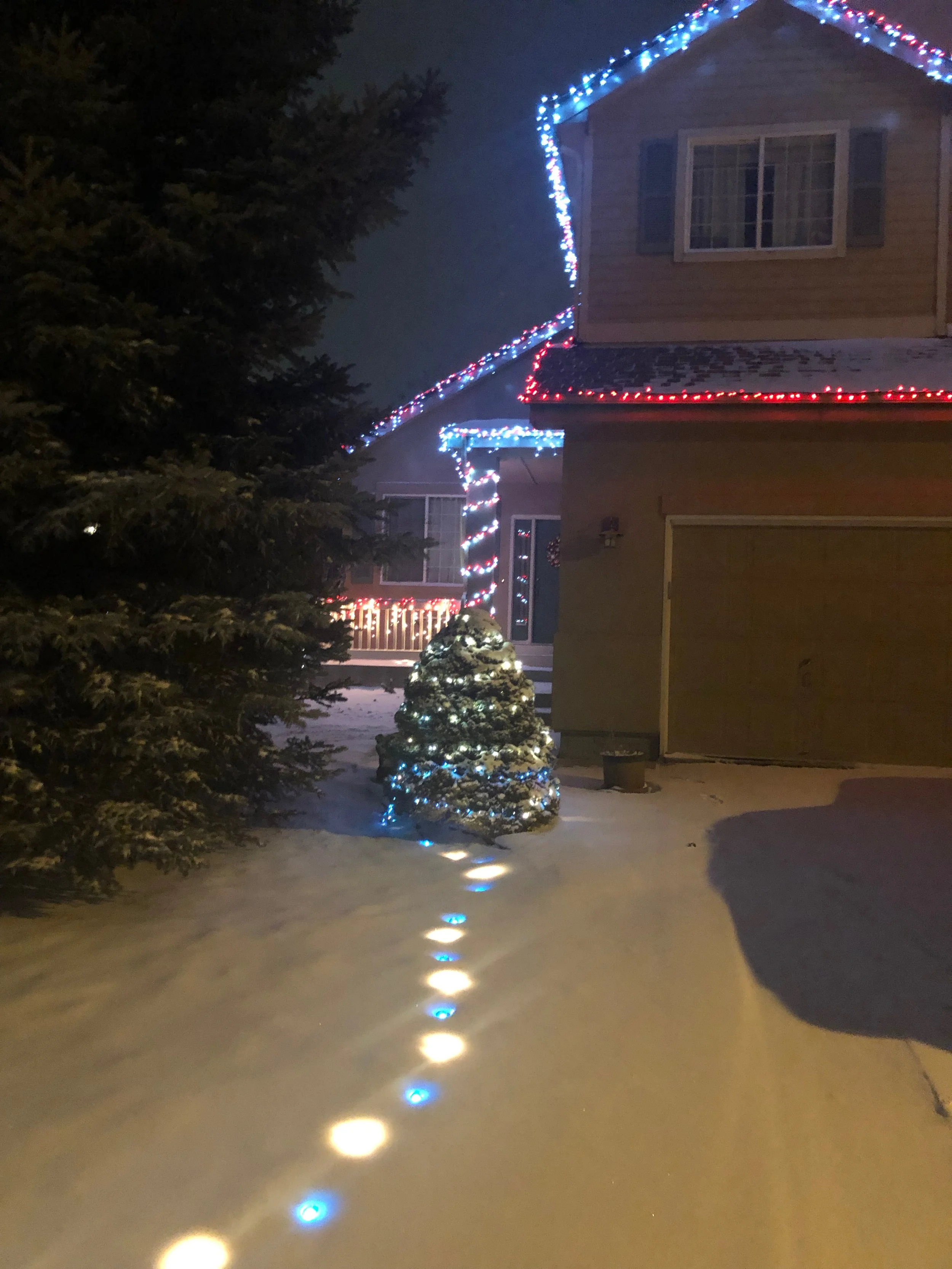 House Lights - December 2018