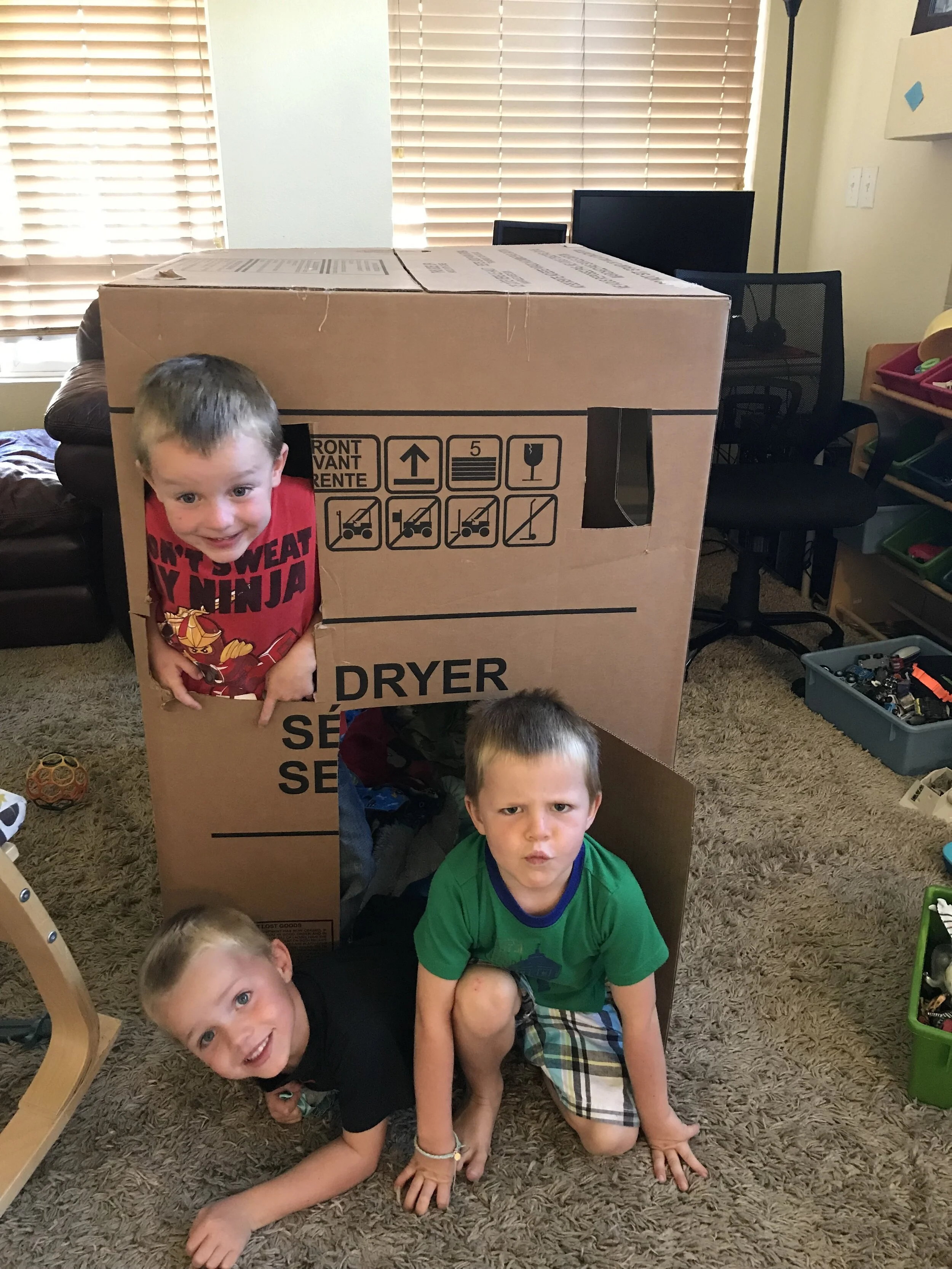  Triplet “Apartment” from dryer box 