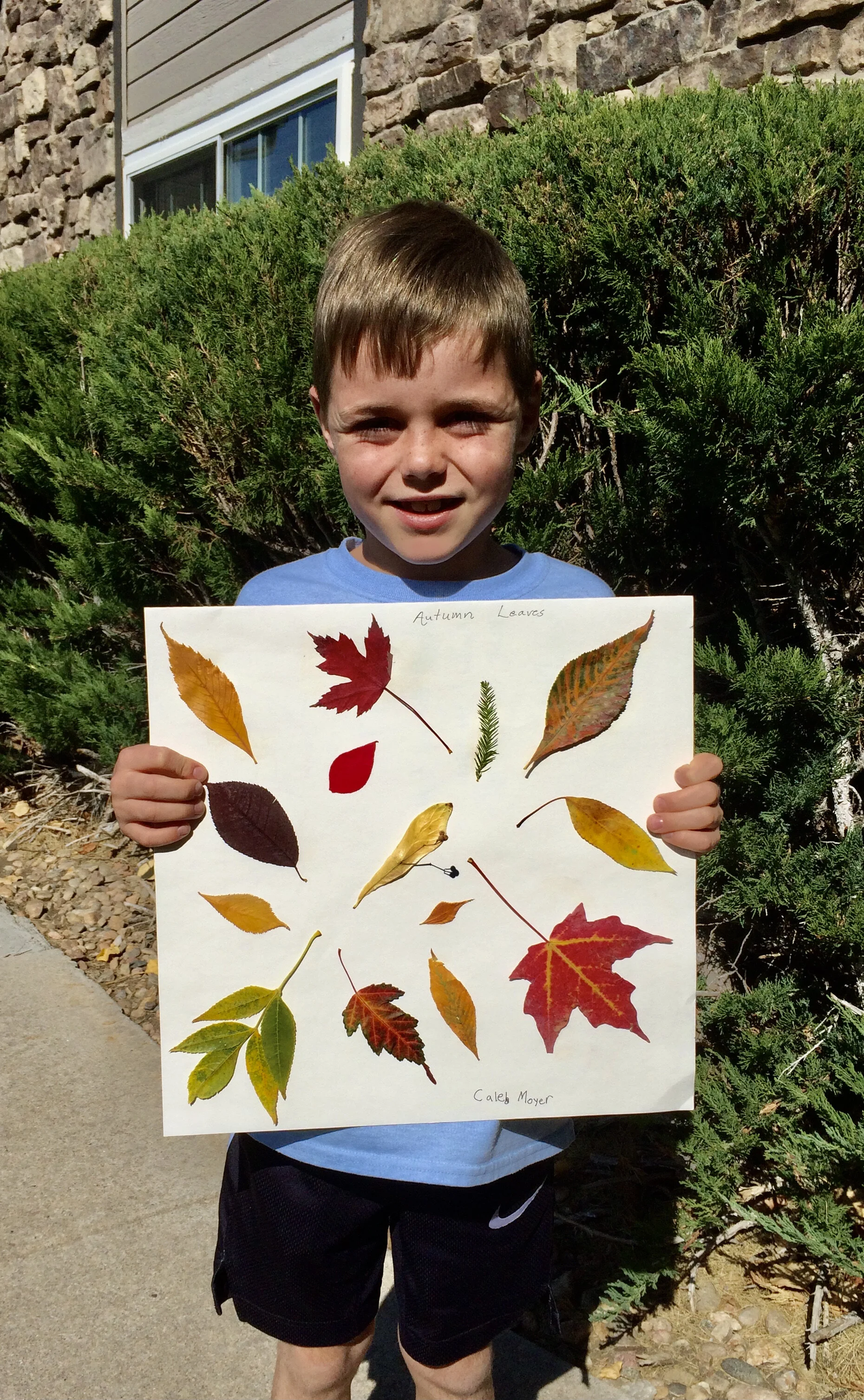 *Caleb's Fall Leaves.JPG