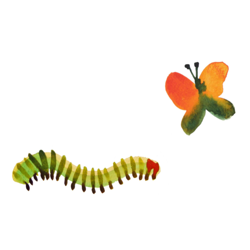 caterpillar.png