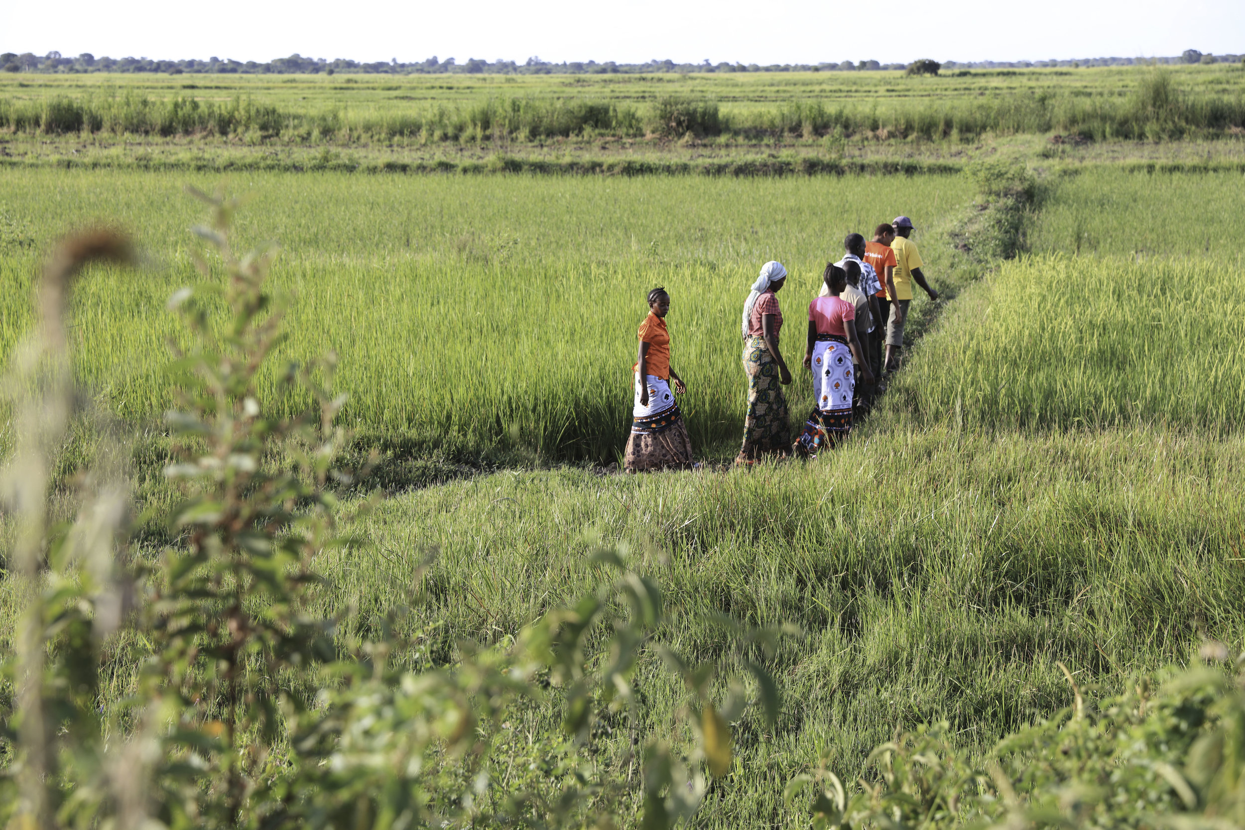 Farmers walking in field.jpg