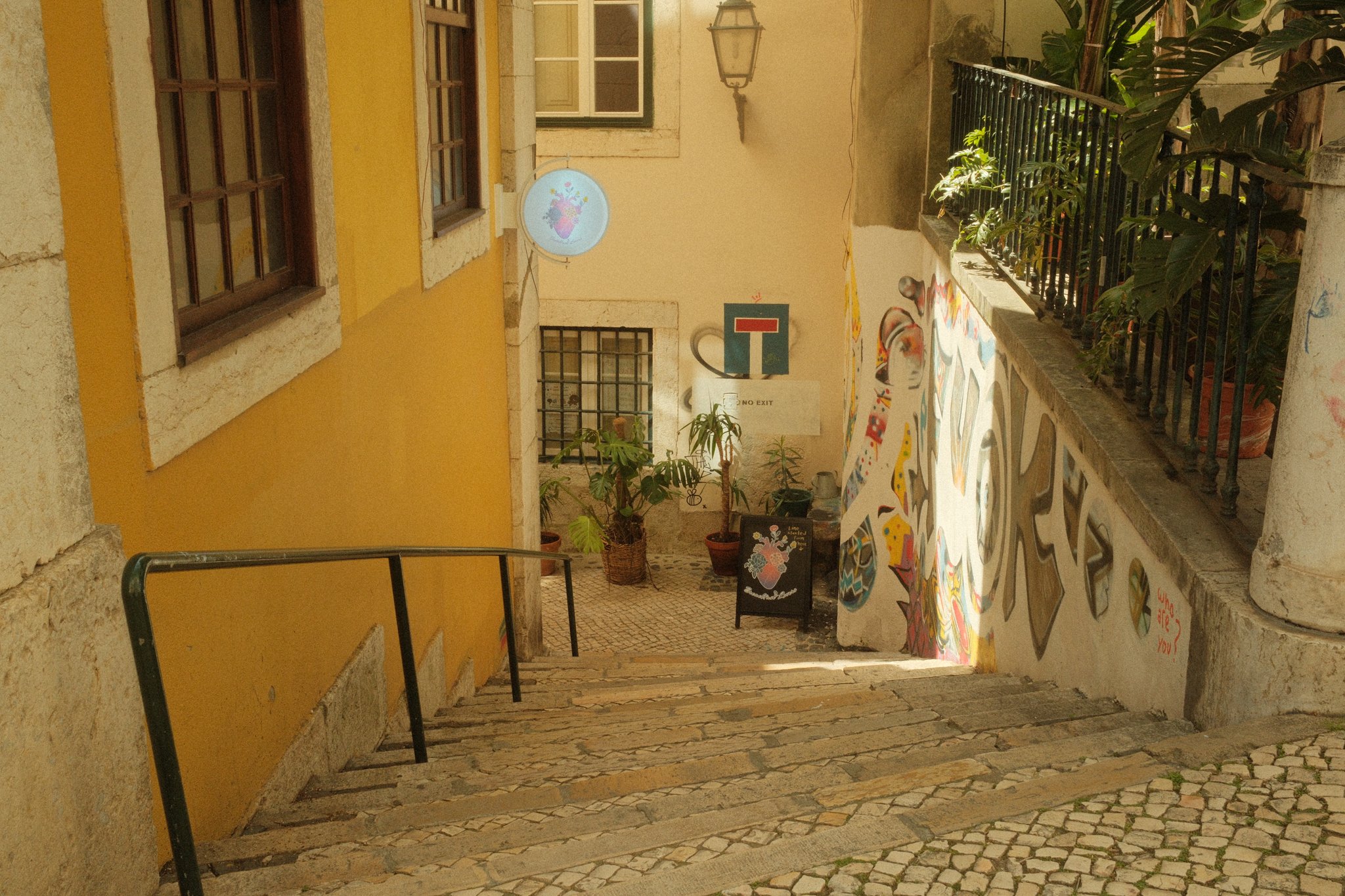 DSCF2429.jpg