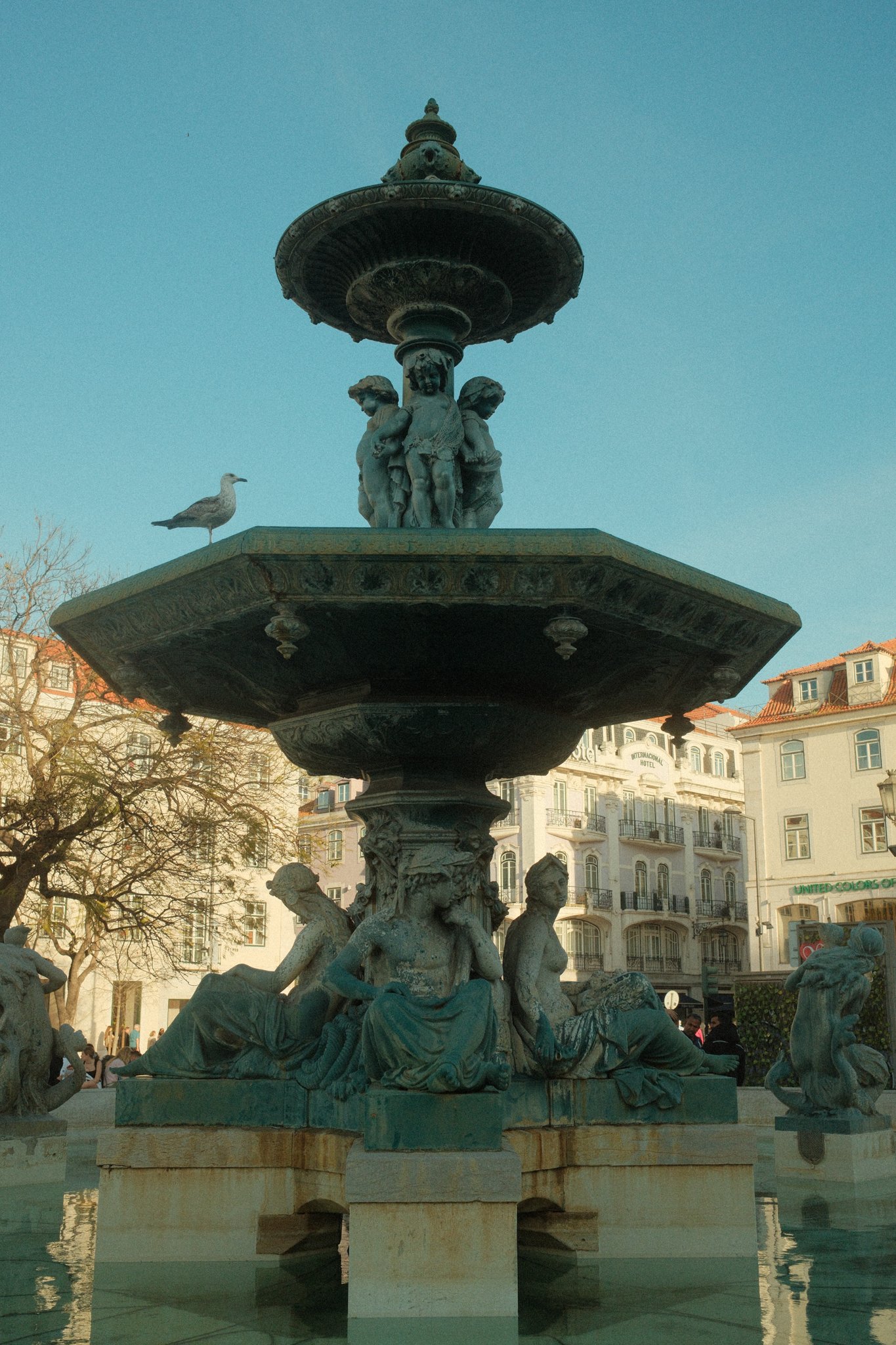 DSCF2512.jpg