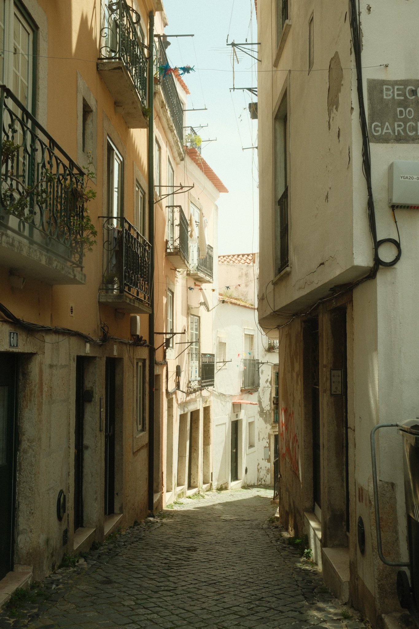 DSCF2713.jpg