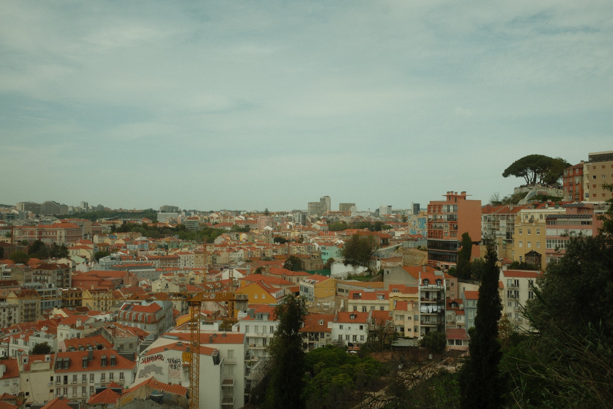 DSCF2730.jpg