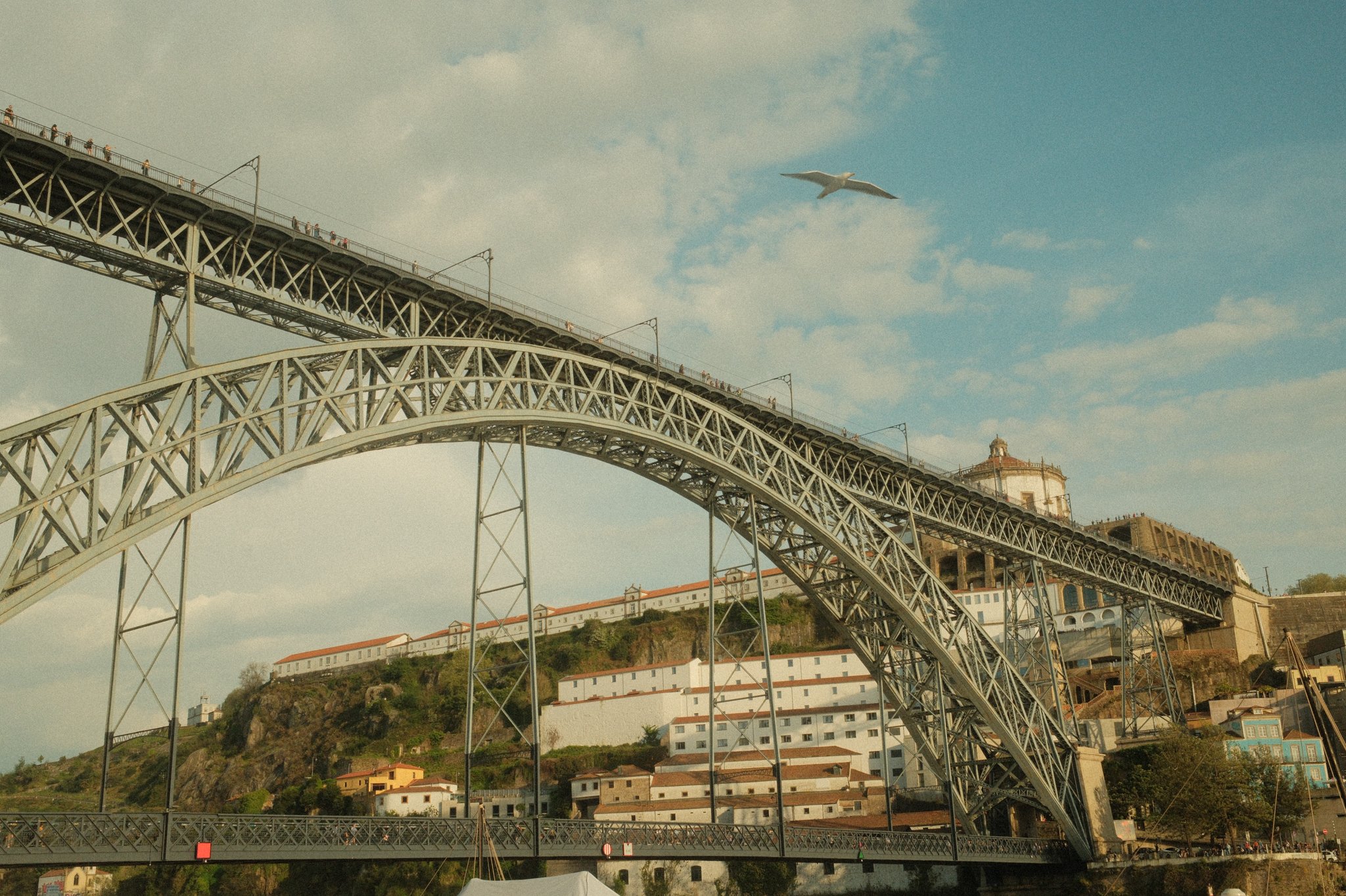 DSCF3029.jpg