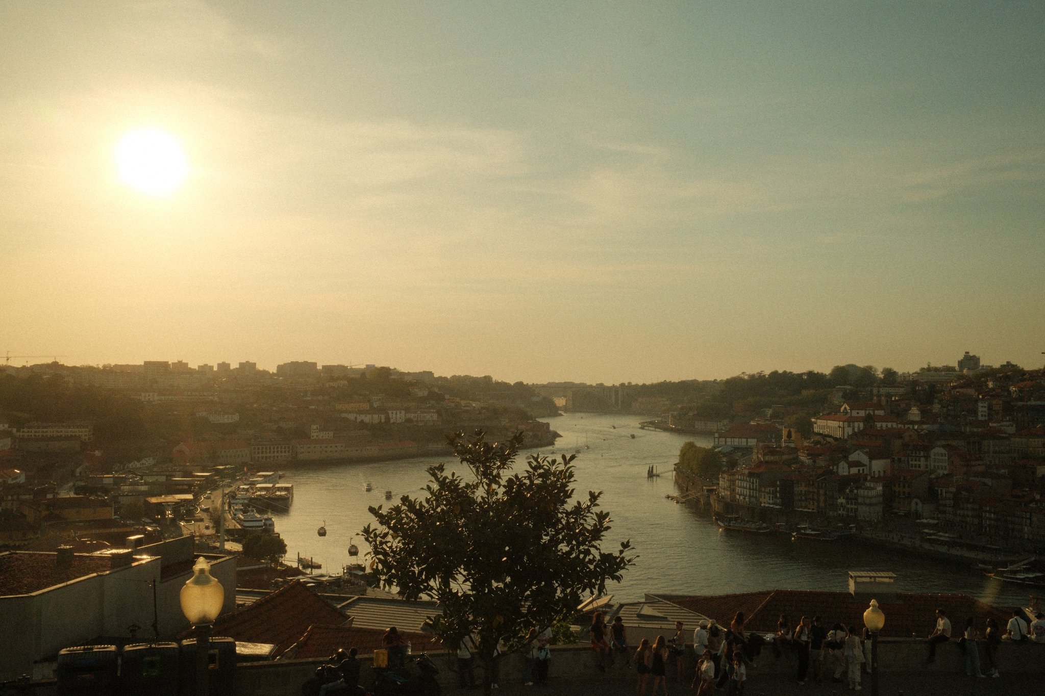 DSCF3049.jpg