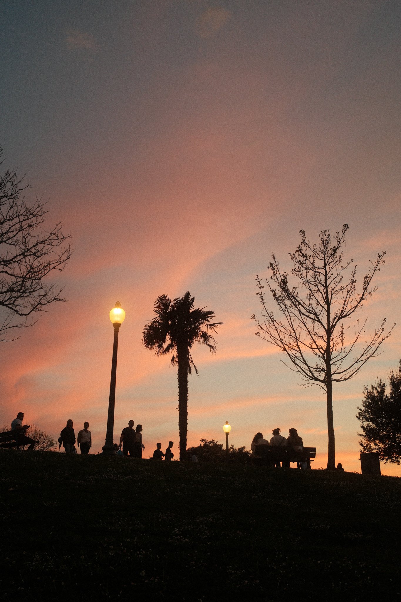 DSCF3097.jpg
