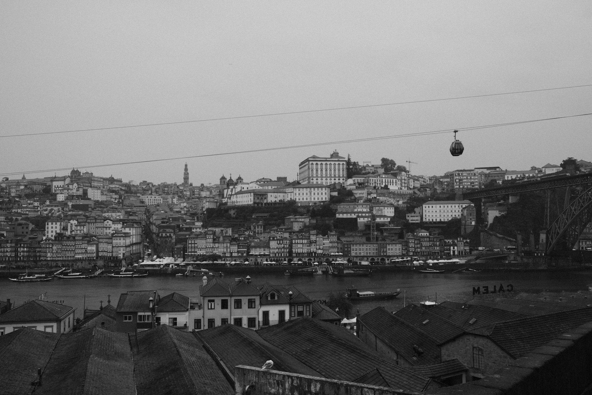DSCF3124.jpg