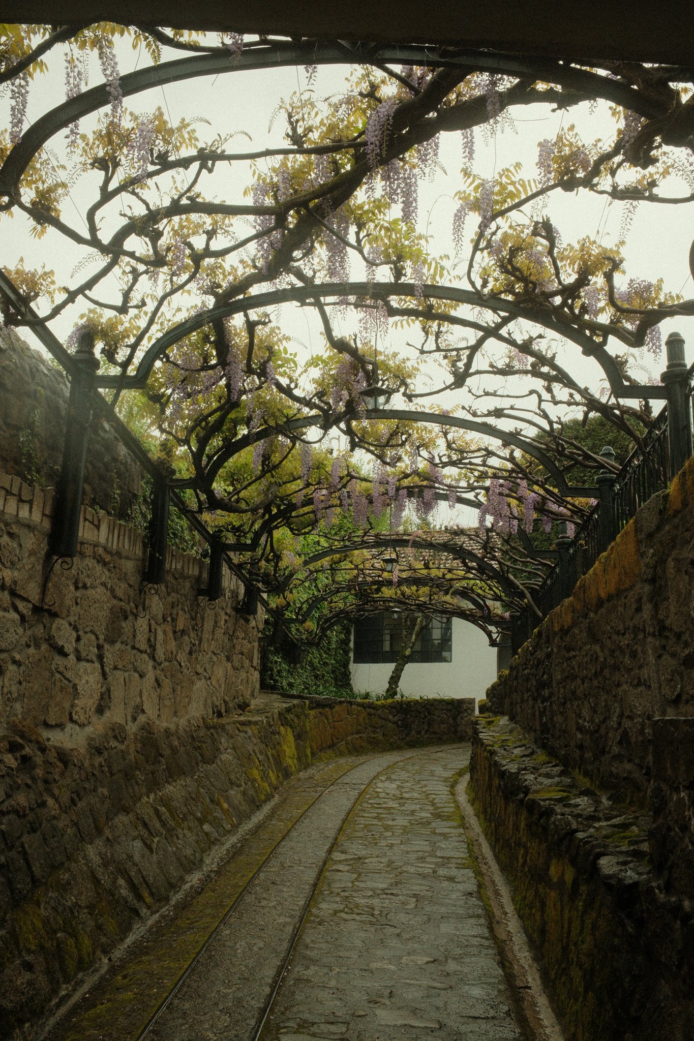 DSCF3128.jpg