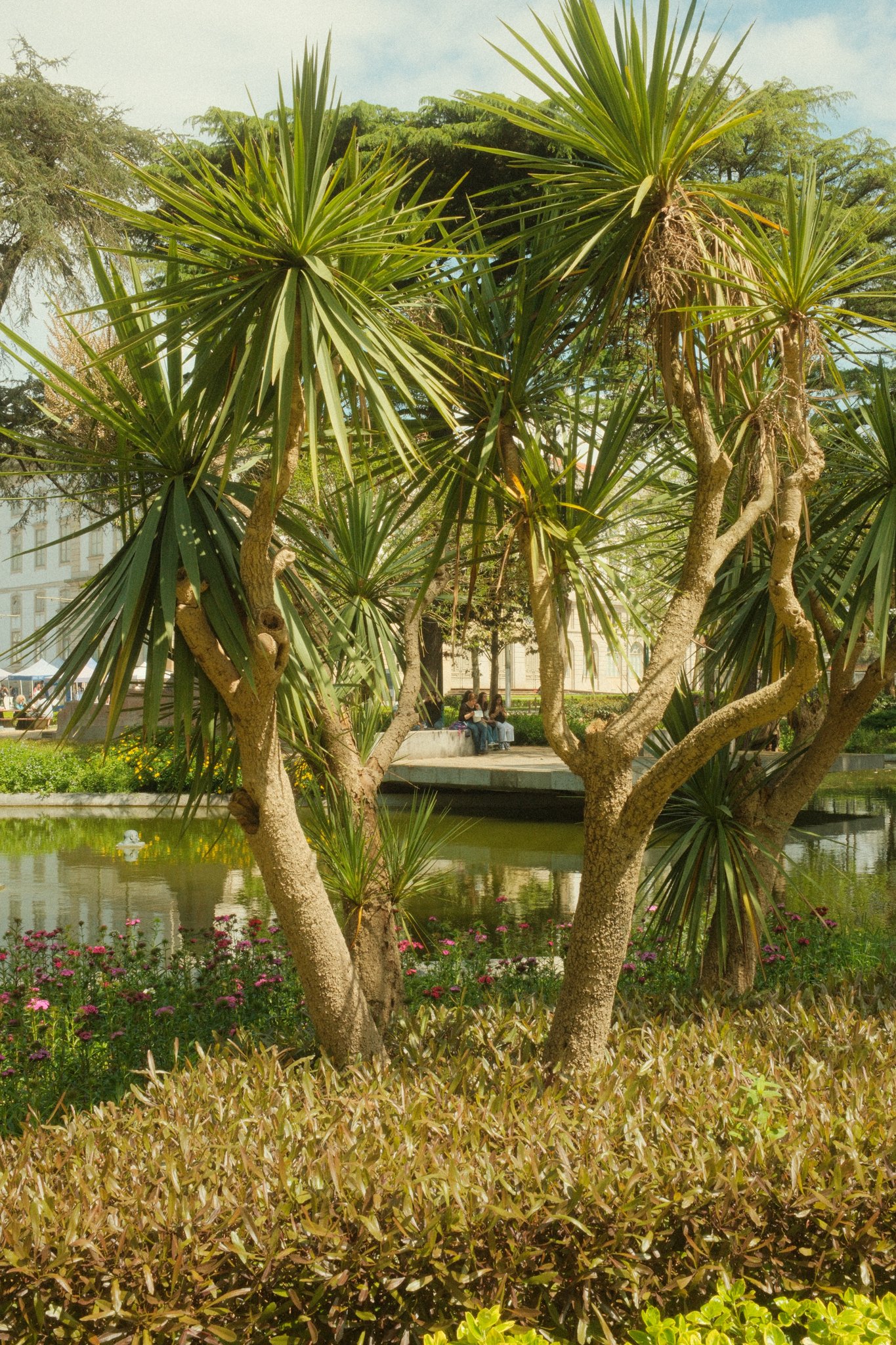 DSCF3331.jpg