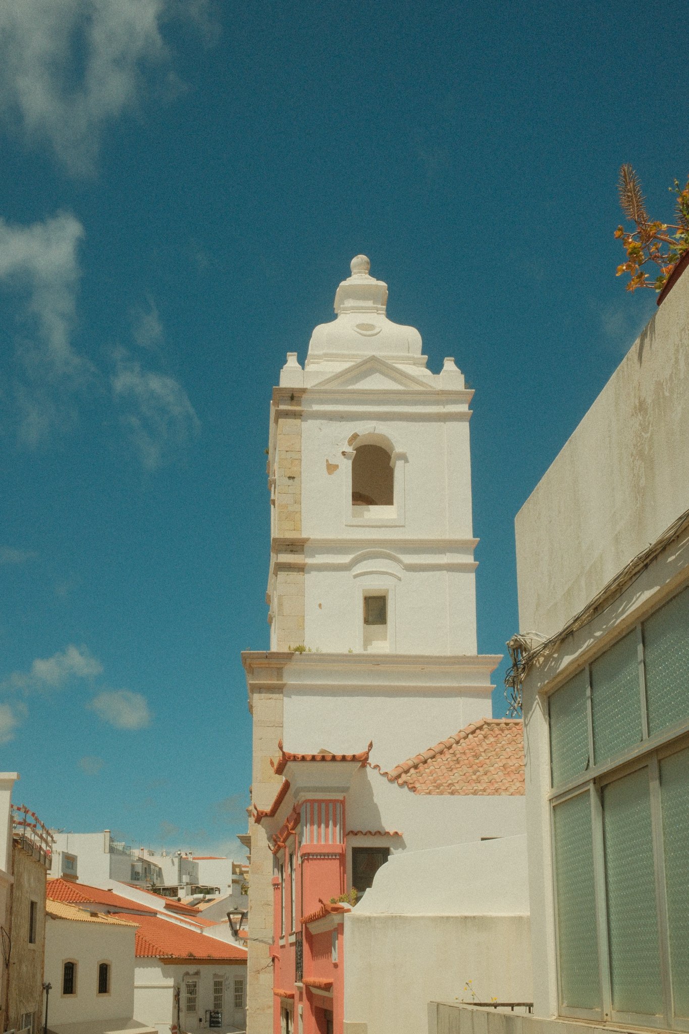 DSCF3526.jpg