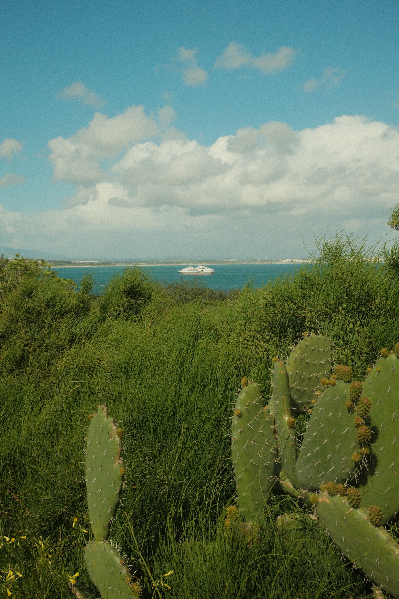 DSCF3534.jpg